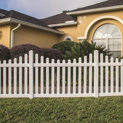 Severe Weather 3-ft H x 8-ft W White Stained Spruce Pine Fir French Gothic Wood Fence Panel