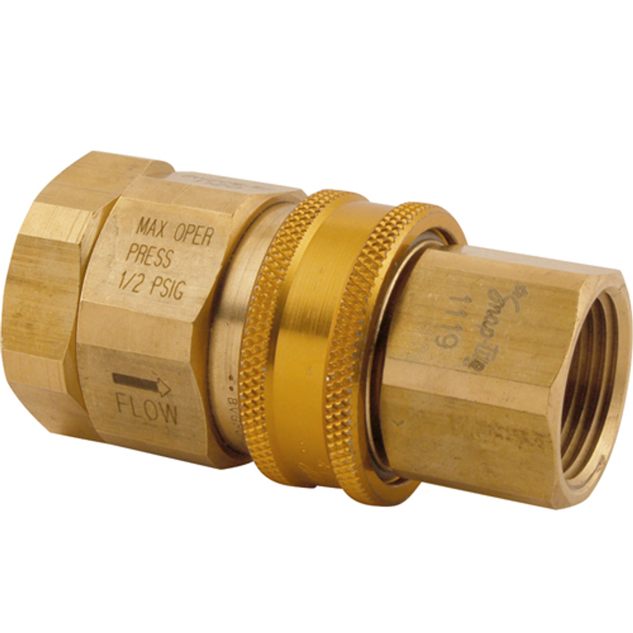 AG-5E - T&S Brass - 1 in NPT Quick Disconnect