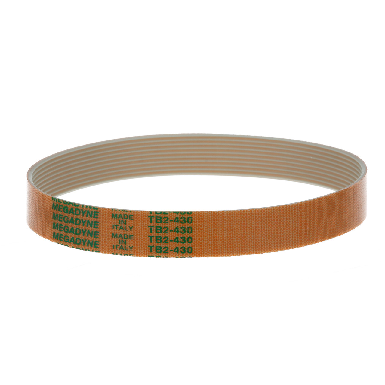 D55 - Globe - Drive Belt