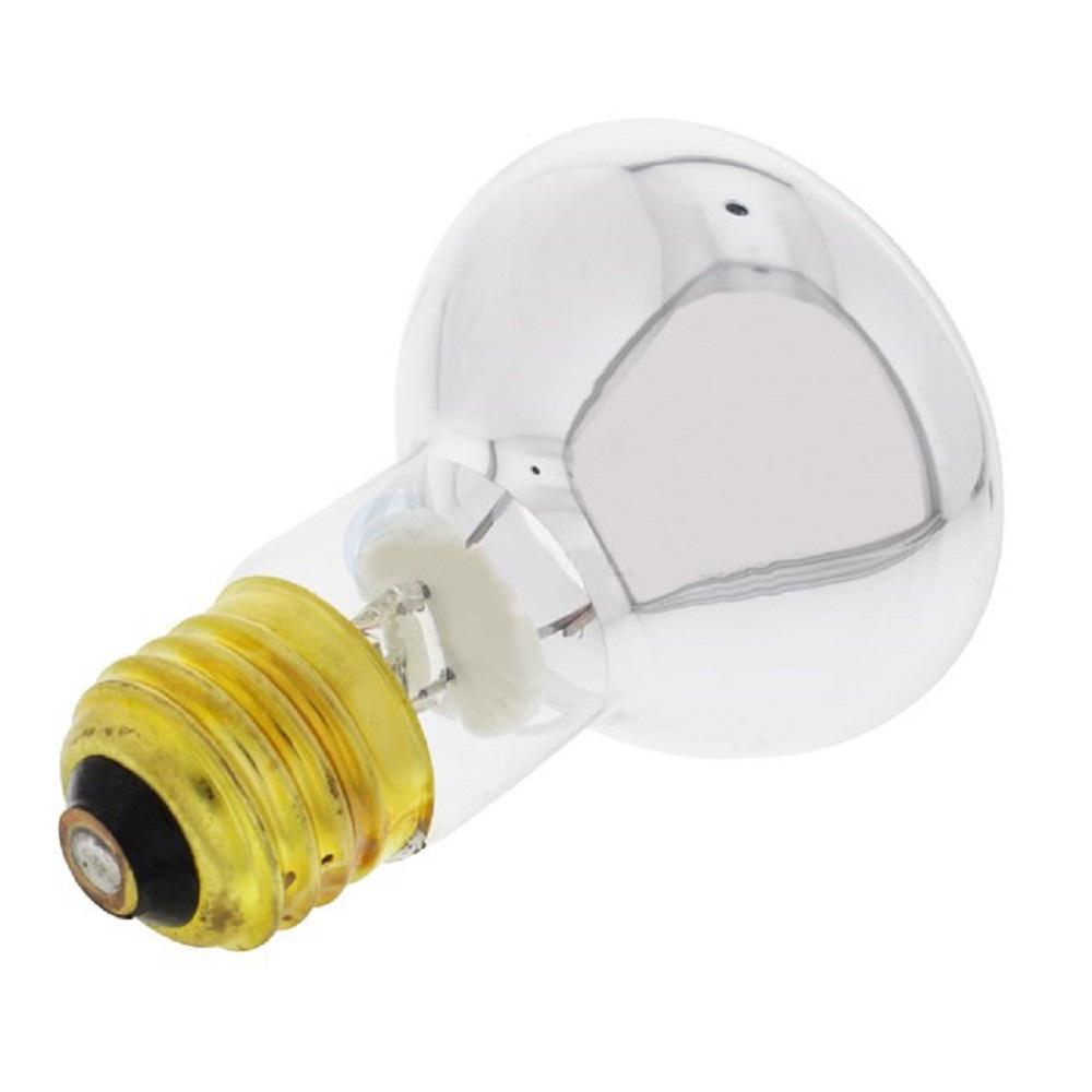Halco Lighting Technologies Halco 100-Watt R20 Flood Specialty Pool Spa Replacement Light Bulb (1-Bulb) 104020