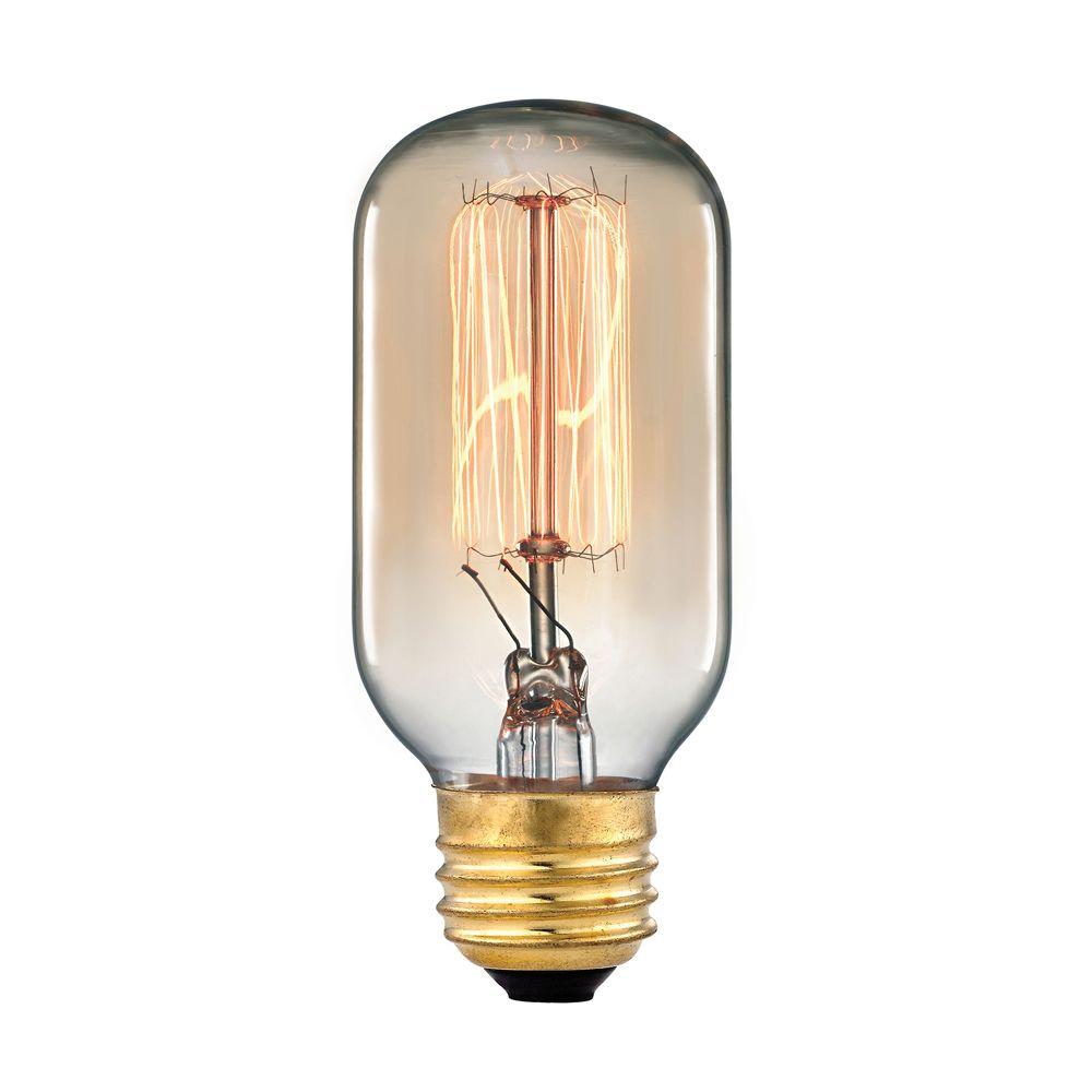 Titan Lighting Ogden Collection 60-Watt Incandescent T6 Medium Base Vintage Filament Light Bulb
