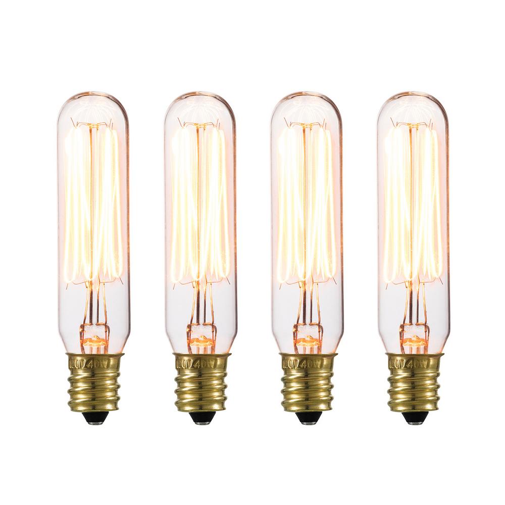 Globe Electric 40-Watt T6 Vintage Edison Incandescent Light Bulb (4-Pack)