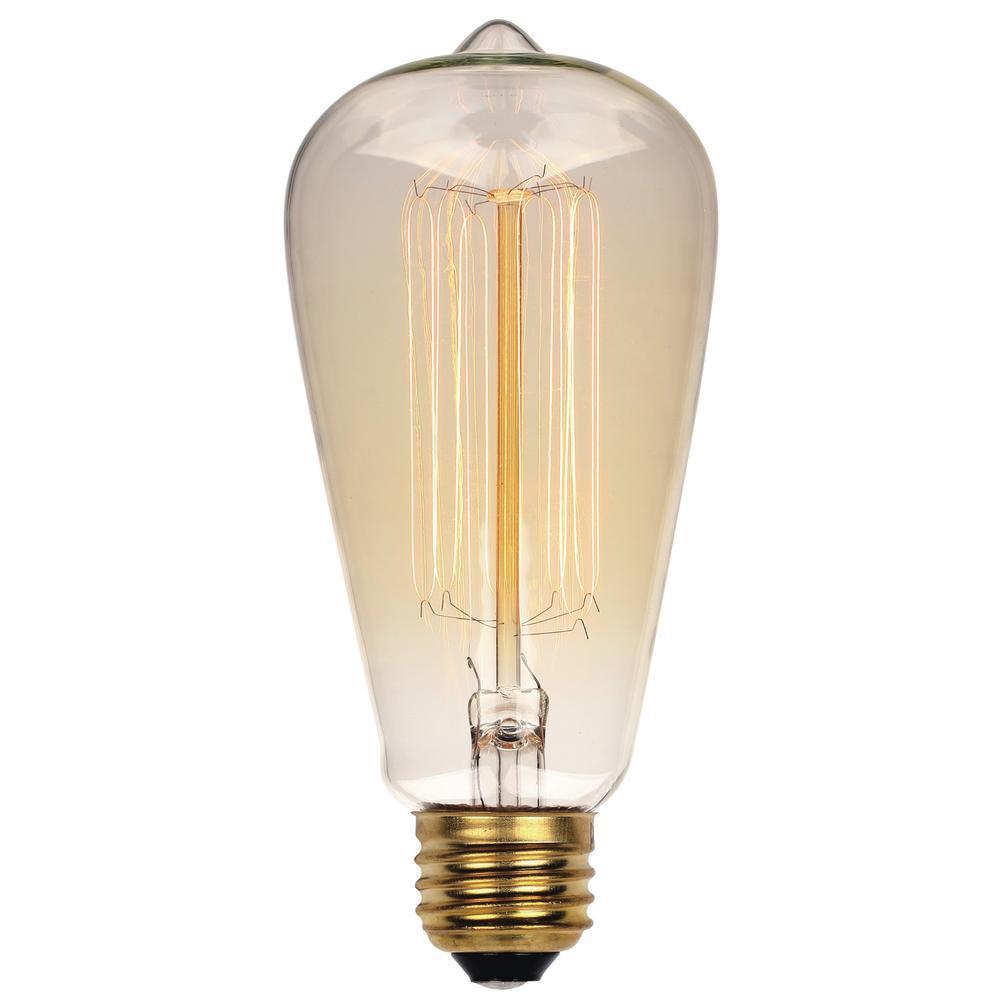 Westinghouse 60-Watt Timeless Vintage Inspired Incandescent ST20 Light Bulb