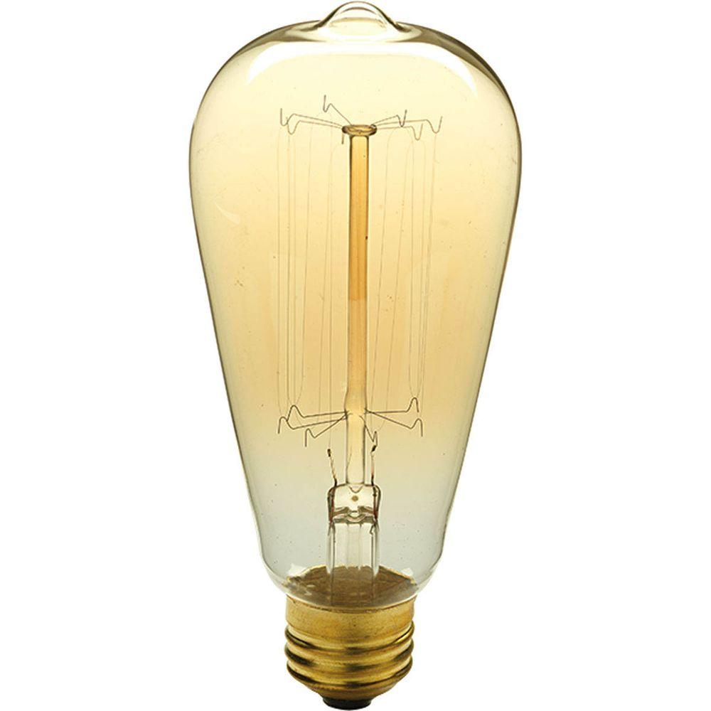 Progress Lighting 40-Watt ST64 Edison E26 Medium Base Vintage Amber Incandescent Light Bulb Warm White