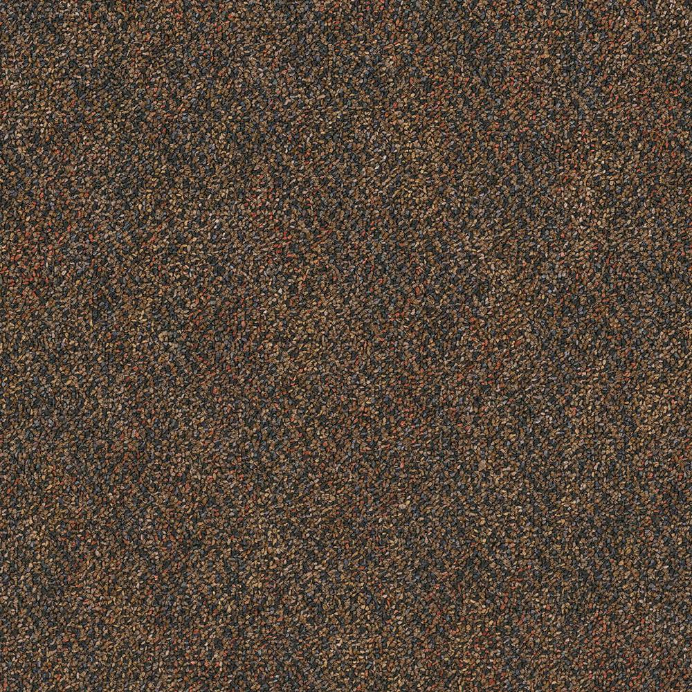 Engineered Floors High Falls Sneak Peak Loop 24 in. x 24 in. Carpet Tile (18 Tiles/Case)