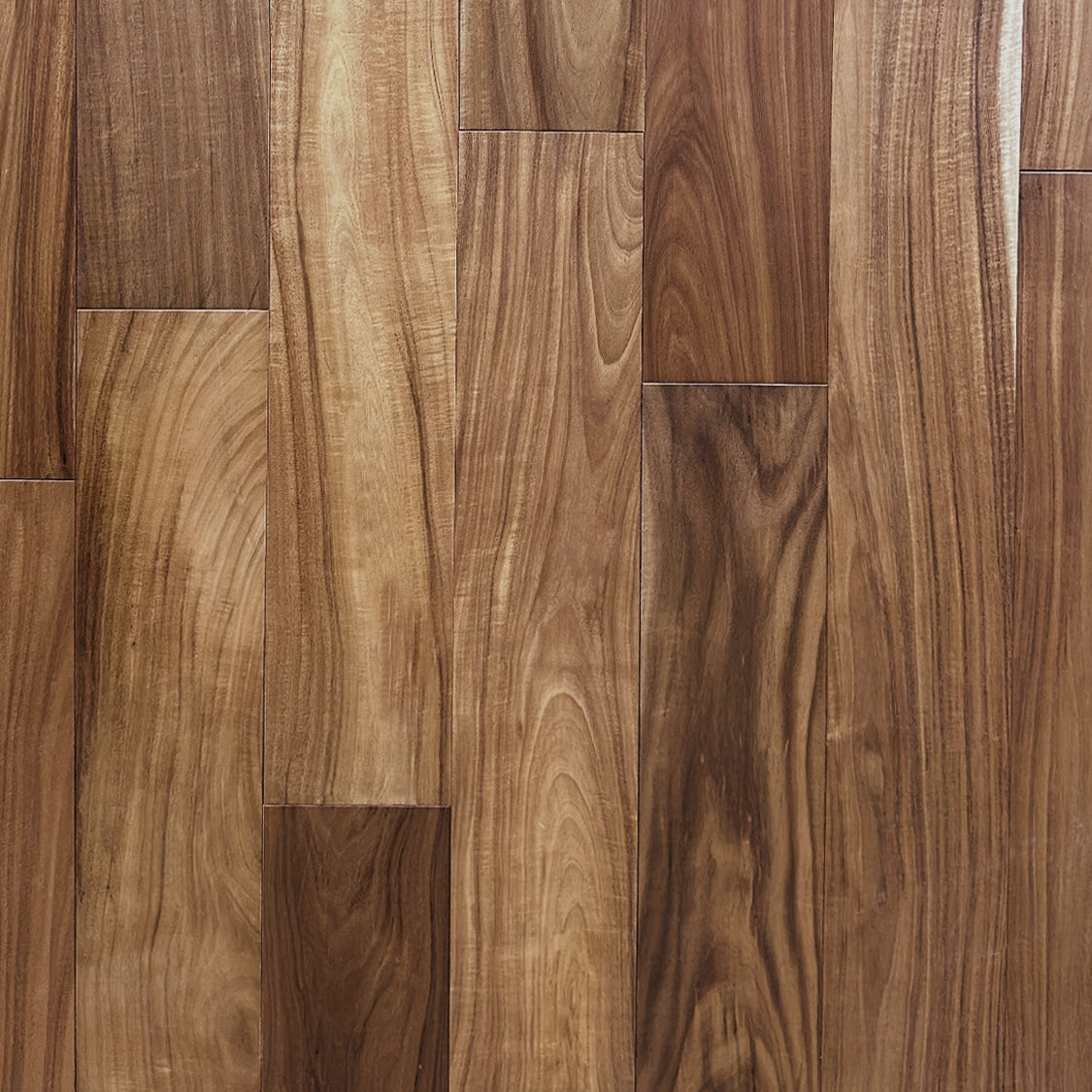Natural Short Leaf Acacia Wire-Brushed Engineered Hardwood
