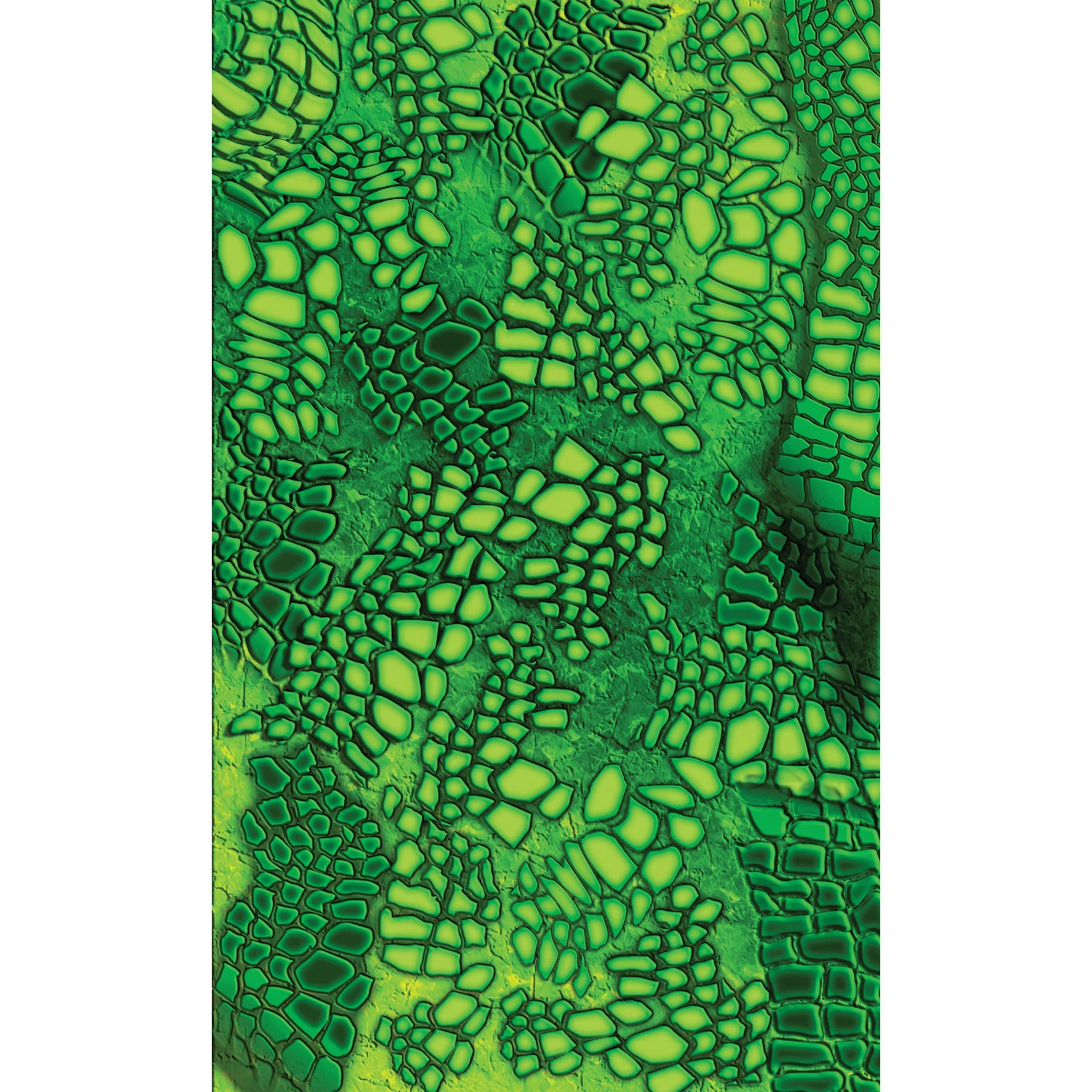 Gator Custom Body Skin Transfer For Racers And Sailboats