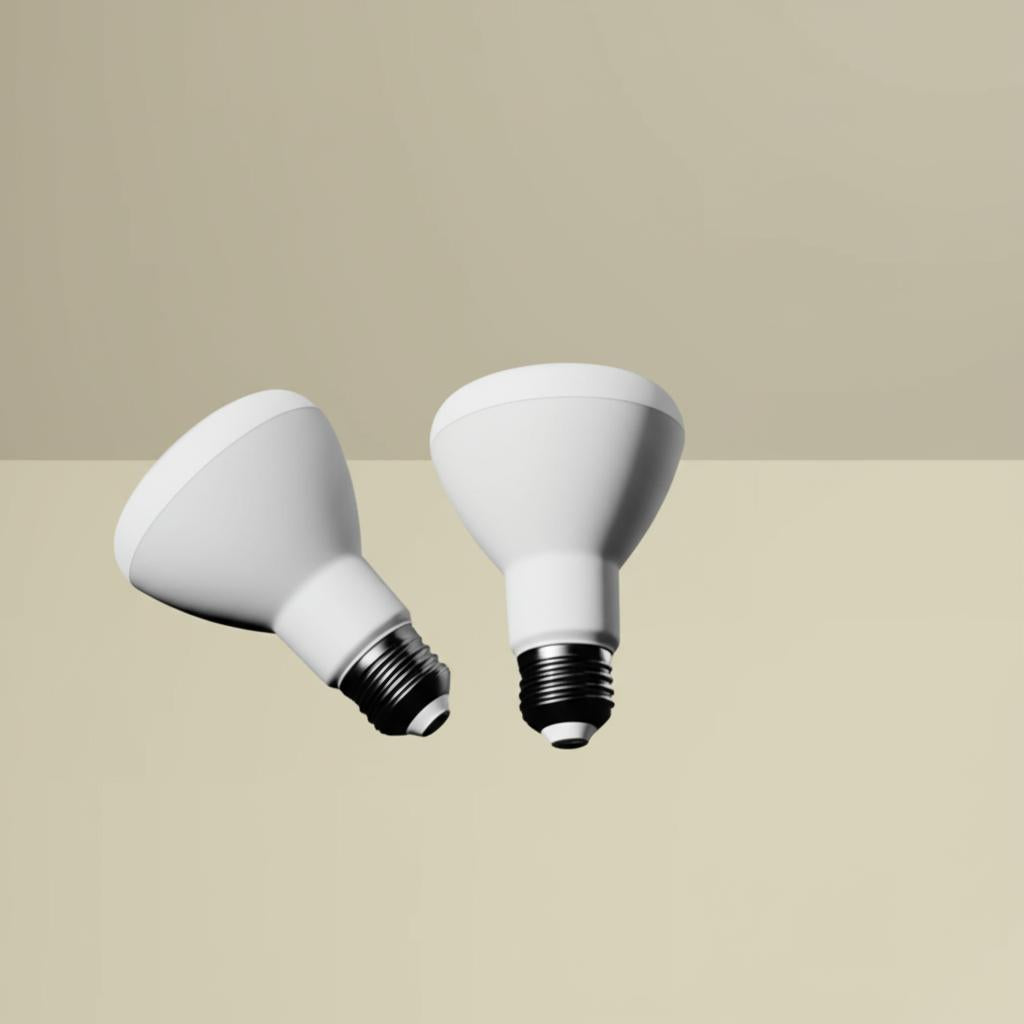 EcoSmart 50-Watt Equivalent R20 Dimmable Energy Star LED Light Bulb Daylight (3-Pack)