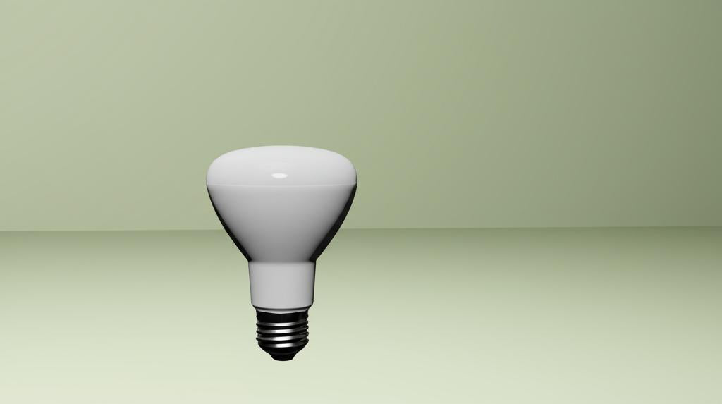 EcoSmart 50-Watt Equivalent BR20 Dimmable LED Light Bulb Daylight (24-Pack)