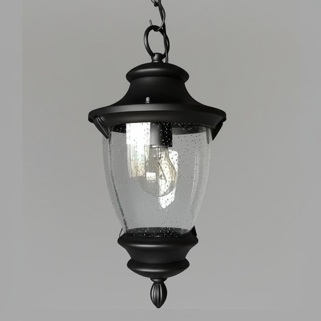 Home Decorators Collection Wilkerson 1-Light Black Outdoor Chain Hung Lantern