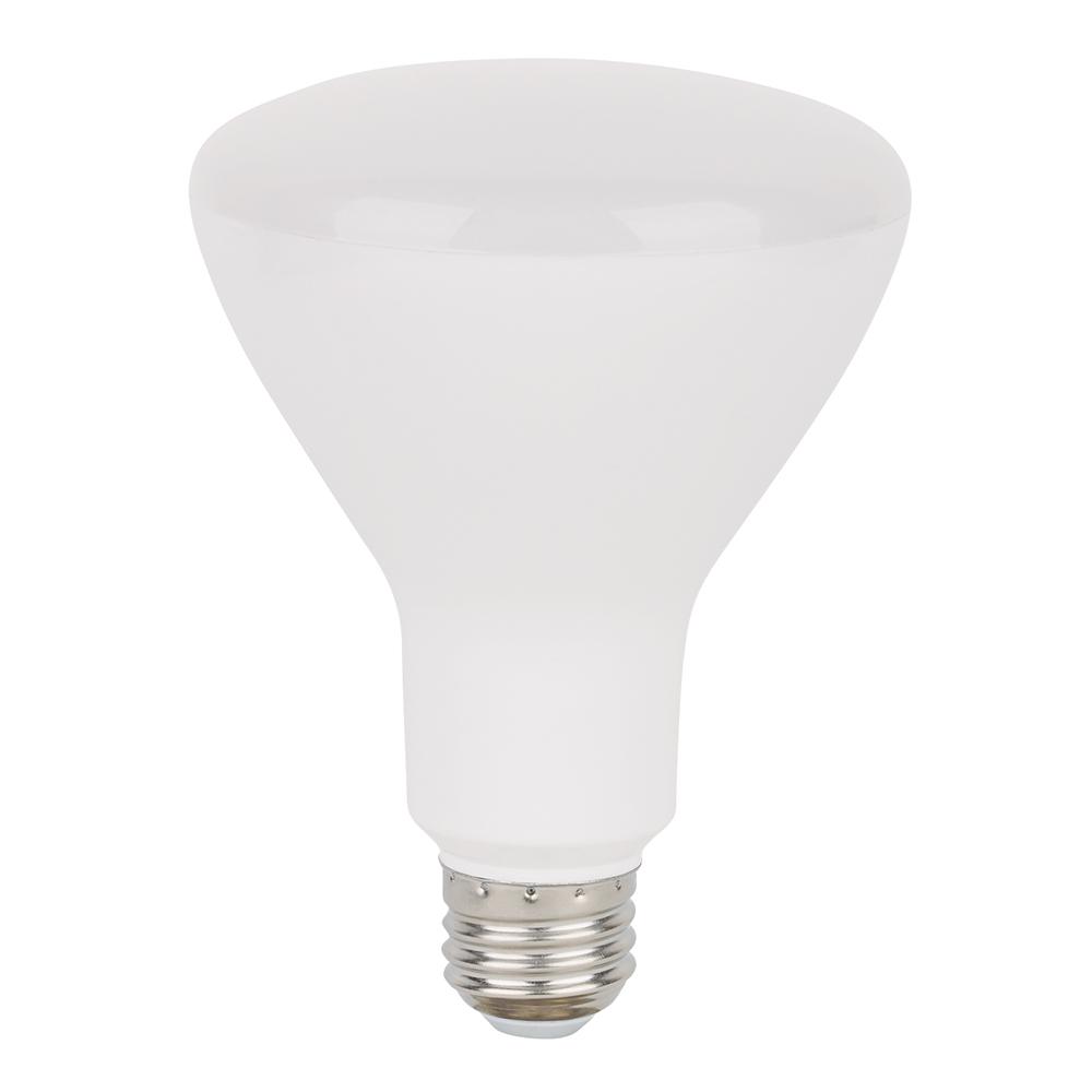 65-Watt Equivalent 8-Watt BR30 Dimmable LED Warm White 2700K Light Bulb 80990