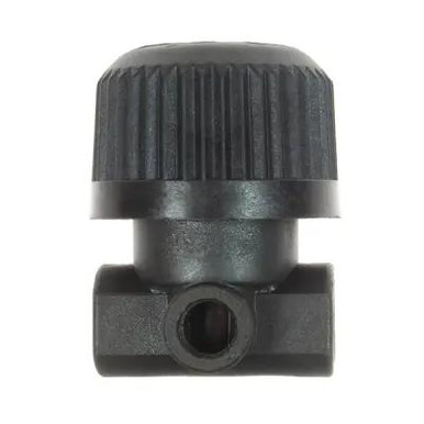 COILHOSE ER02-DL 1/4" Economy Regulator